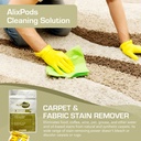 AlixPods Carpet & Fabric Stain Remover - 3 Pods