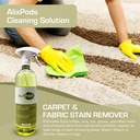 AlixPods Carpet and Fabric Stain Remover Starter Kit