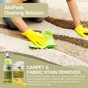 AlixPods Carpet and Fabric Stain Remover Starter Kit Bundle